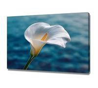 ZAMAEIU pósteres abstractos de hoja botánica impresa Flor solitaria Arte Decorativo de la Oficina Sala de Estar（Blanco-20x30cm Enmarcado