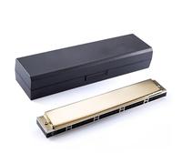 ZAMASS Armónica Profesionales Armónica Profesional De 24 Agujeros Armónica Polifónica para Principiantes Y Adultos(Gold,EB Tone)