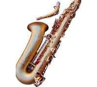 ZAMASS Beginner Sax Kit Saxofón Alto Profesional Hemp Gold Drop E Tone 54 con Proceso Mate Bañado En Oro Instrumento De Jazz(Bag A)