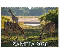 Zambia (Wall Calendar 2026 DIN A4 landscape), CALVENDO 12 Month Wall Calendar: Wilderness between Zambezi, Luangwa Valley and Victoria Falls