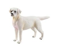 Zambuph Juego de Figuras de Perro Juguete realistas y detalladas con Texturas Finas, Accesorios educativos únicos Que inspiran Creatividad, decoración del hogar para niños, colección Figuras