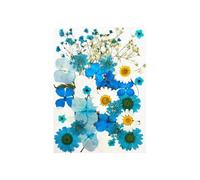 Zambuph Kit de plantas secas para álbum de recortes, materiales relleno calcomanías flores reales, espécimen prensado colorido, estuche para hacer etiquetas, tipo 4