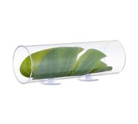 Zambuph La Cueva para Acuario Ofrece una funcionalidad versátil para los Peces Betta, permitiendo comportamientos Naturales en entornos Hermosos. Túnel para Betta con ventosas. Acuario para pecera.