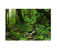 Zambuph Póster de Paisaje de Acuario. Adhesivo Fondo Espectacular para pecera. Escenas vívidas Que transforman el Acuario. Fácil Pegar. Materiales duraderos. Imagen, Verde Hierba, 122x46cm