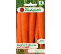 Zanahoria comestible Amsterdam 2 (Amsterdam) - temprana