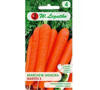 Zanahoria comestible Nantes 3 (de Nantes) - media temprana