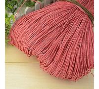 ZANZER Hilo de Paja de Rafia Natural de 600 Metros y 500g para Tejer a Mano, Ganchillo, Sombrero de Verano, Bolso, cojín, cestas, Material de Tejer, artesanía DIY