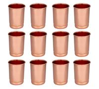 Zap Impex Vaso de cobre de vidrio puro juego de 12