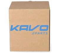 Zapata de freno KAVKBS-4408 KAVO PARTS