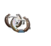 BOSCH 0 204 114 129 Kit frenos, disco de tambor