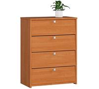 Zapatero con 4 Compartimentos y 4 Puertas abatibles | Puertas abatibles | Armario para Zapatos Cerrado | Contenedor para Zapatos | L60 x H80 x P33 cm, Peso 29 kg | Color: Aliso