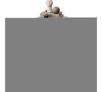 Zapatero, Organizador de Zapatos Plegable, Soporte para Zapatillas de Deporte, para balcón, Entrada, Dormitorio, Sala de Estar, balcón, Dormitorio, baño, apartamento