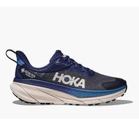Zapatilla de trail running M CHALLENGER ATR 7 GTX MARINO 46