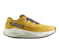 ZAPATILLA NEUTRA HOMBRE SALOMON AERO BLAZE 3 GRVL OCHRE 42