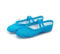 Zapatillas Ballet Niña Ballet Dance Shoes Yoga Gym Flat Slippers Glitter Pink Blue Rose Red Colors For Children Girls Women Teacher(Blue,24)