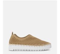 Zapatillas Beiges TULIP3373-110 39