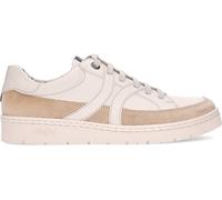 Zapatillas CALLAGHAN Petete 55217 TARTUFO_OFF 40