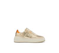 Zapatillas D.Franklin Court Basic Snake 38