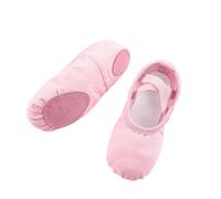 Zapatillas de Ballet Soft, Soft Ballet Slippers for Adults Multicolor Multiple Sizes(Flesh Color,26 EU)