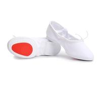 Zapatillas De Ballet Zapatos De Baile Ballet Cuero Natural Tela For Mujer, Salsa Jazz Tacón Medio, Zapatillas Deporte For Niñas, Yoga Actuación(Cloth rubber white,5.5)