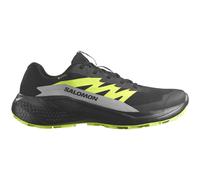 Zapatillas de carrera para hombre Salomon Alphaglide Gore-Tex Talla de zapato (EU): 47 1/3 / Color: negro/gris