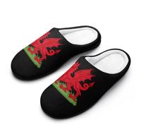 Zapatillas De Casa Insignia Del Dragón De Gales Slippers M