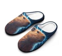 Zapatillas De Casa Trueno Y Capibara Slippers XL