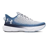 Zapatillas de running Under Armour Infinite 44 Male