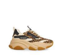 Zapatillas mujer Steve Madden PossessionL-E 41