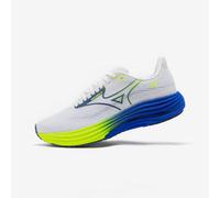 Zapatillas Running Hombre, Mizuno Wave Rider 29 41