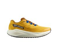 Zapatillas Running_Hombre_SALOMON Aeroblaze 3 Grvl M - 44 2/3