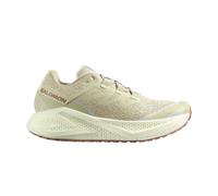 Zapatillas Running_Hombre_SALOMON Aeroglide 3 Grvl M - 44