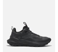Zapatillas Timberland Motion Acces 44