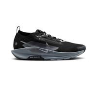 Nike Pegasus Trail 5 Gore-Tex Black/Wolf Grey-Cool Grey-Anthracite 44.5 EU