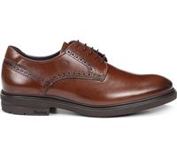 ZAPATO FLUCHOS BELGAS F0630 MARRON 39