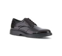 Stonefly Zapato 219804-M94 Forever 2 Turkic Coffe de Hombre 45