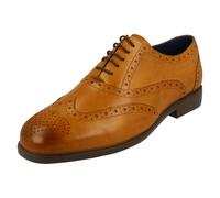 Zapatos Brogue Oxford Para Hombre Padders - Con Cordones