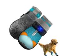 Zapatos con Luces para Gatos Suministros Transpirables Antideslizantes para