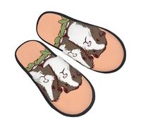 Zapatos De Algodón Dos Conejillos De Indias Pasando El Rato Suela De Goma Plush Shoes Portátil Slippers Para Unisex Otoño Hogar M