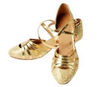 Zapatos de baile latino para mujer, zapatos de baile de los años 20, Bachata Salón de Baile de Rendimiento Profesional Zapatos de baile para mujer Zapatos de baile bajos 3,5 cm para niñas Latino