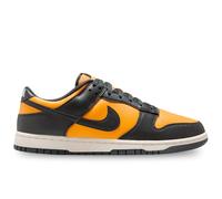 Zapatos Nike Dunk Low Retro HF5441-700 - 9M