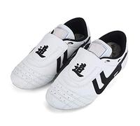 Zapatos Taekwondo Artístico, Diseño Ligero Ajustado Zapatos Taichi Kung Fu Calzado Entrenamiento Competición for Niños Adolescentes Deportes de Combate