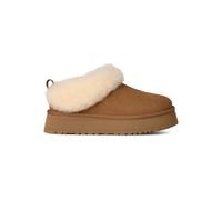 Zapatos UGG W TAZZELLE (Castaño) Mujer