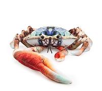 Zappi Co Peluche Suave y Acogedor para niños - Compañeros de Juego Suaves niños en Estilo Impreso (28 cm de Longitud) (Cangrejo Violinista Azul).