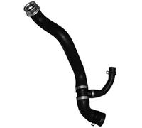 ZAPYVET 1645010582 1645010482 Conexión del tanque de agua Manguera de agua inferior A1645010582, for, ML300 350 Tubo de goma de manguera de refrigerante Manguera de radiador