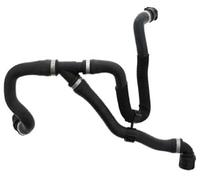ZAPYVET 17127596839 Tubo de tanque de agua Tubo de bajada de manguera de radiador, for, F20F30 F35 125i 320li 328li Manguera de radiador