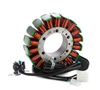 ZAPYVET Bobina de estator de Magneto de generador, for VL800, VL800T, VZ800, Boulevard C50, M50, for Volusia, VZ, VL 800, 800T, 32101-41F10, 32101-41F20 Bobina de Encendido para Motocicleta