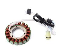 ZAPYVET Bobina de estator del generador del Motor, for Qlink, Front Runner, Rodeo, Massimo, Alligator, 500 550 700 Knight 550 700 MSA500 MSU500 MSU700 327700001,31120-004-000 Bobina de Encendido para