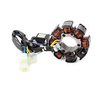 ZAPYVET Bobina de estator generador de Motocicleta FourTrax 250 250ES TRX250TE TRX250 ReconTE ReconTM TRX250EX Sportrax 250EX Bobina de Encendido para Motocicleta