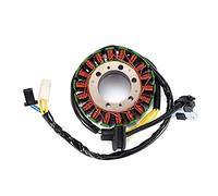 ZAPYVET Bobina del estator del generador de Piezas del Motor de la Motocicleta, for VZ800 VZ 800 Marauder 800 1997-2004 32101-48E00 Bobina de Encendido para Motocicleta